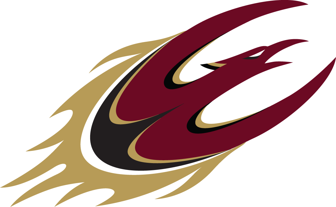 Elon Phoenix 2016-Pres Partial Logo diy iron on heat transfer